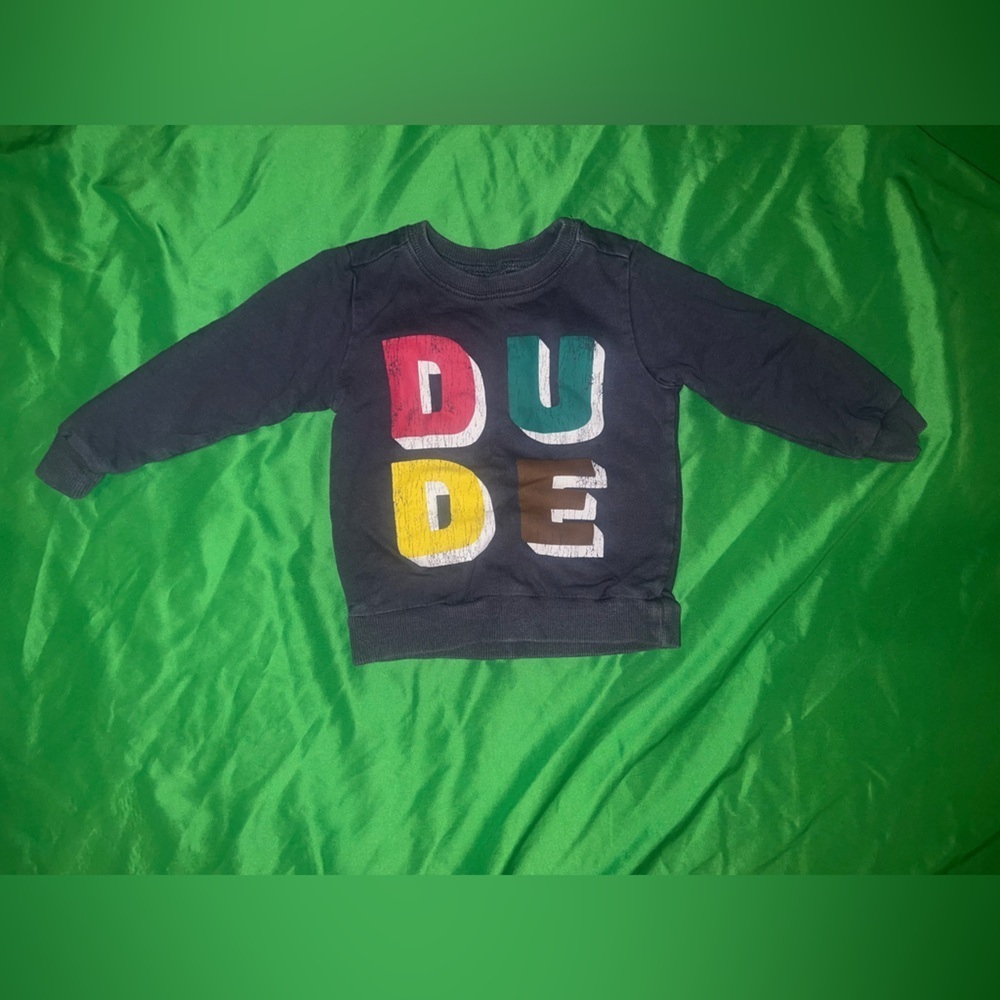 Carter's Blue/ Gray DUDE Graphic Pullover Sweatshirt size 2T